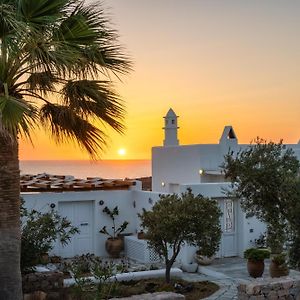 Anema Santorini Luxury Suites&Villas
